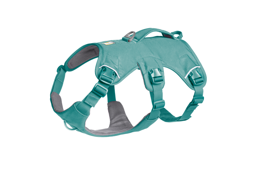 Used - Web Master™ Dog Harness with 