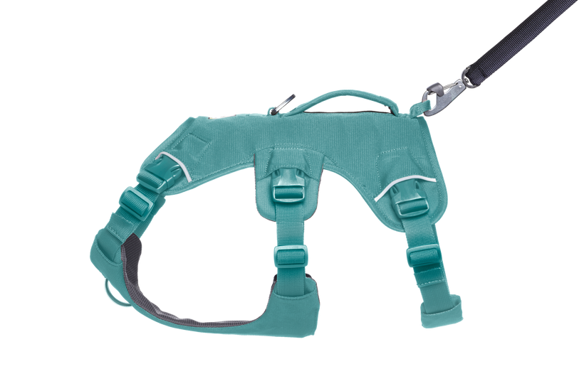 Used - Web Master™ Dog Harness with 