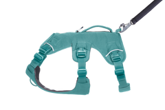 Used - Web Master™ Dog Harness with 