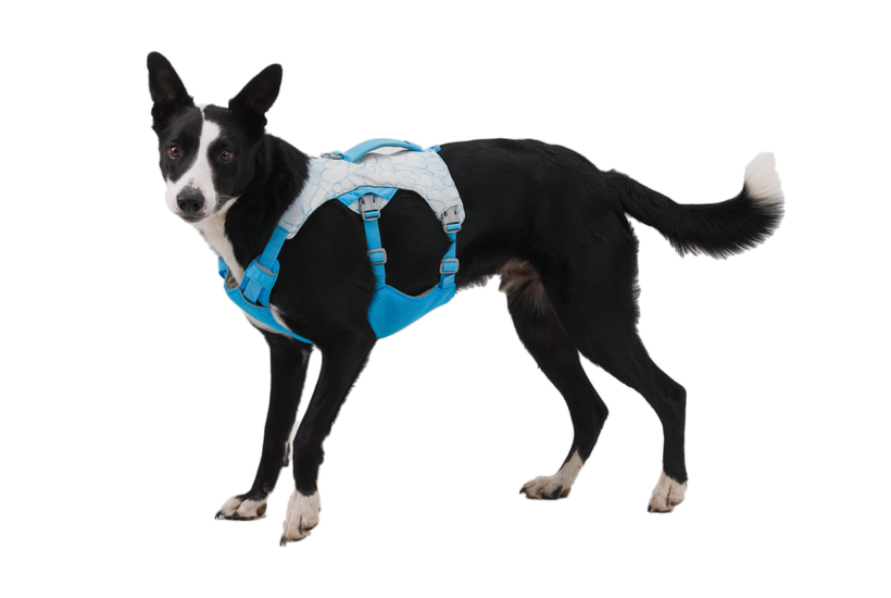 Used - Swamp Cooler™ Dog Cooling H