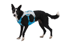 Used - Swamp Cooler™ Dog Cooling H