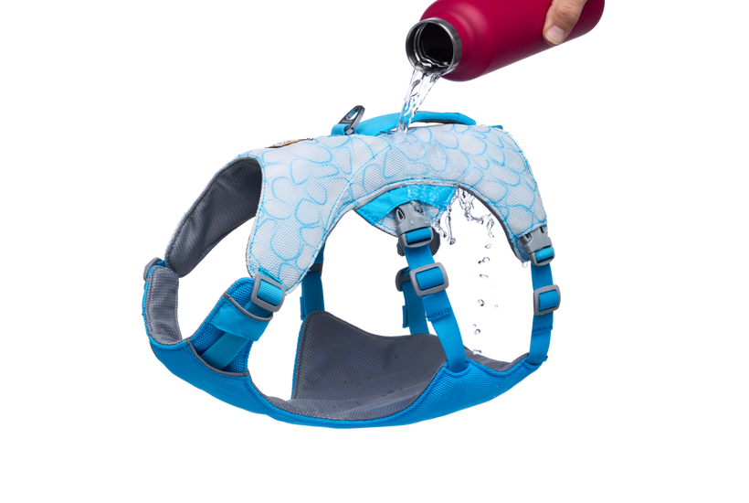 Biolumin Blue