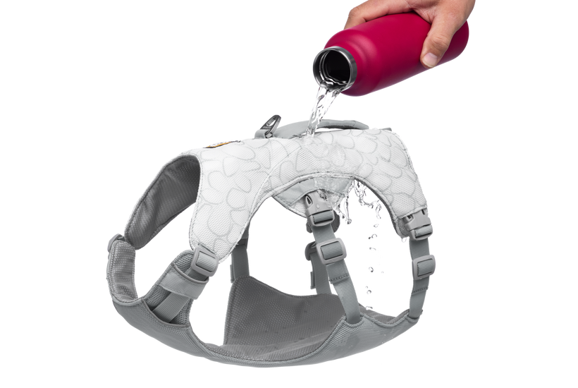 Used - Swamp Cooler™ Dog Cooling H