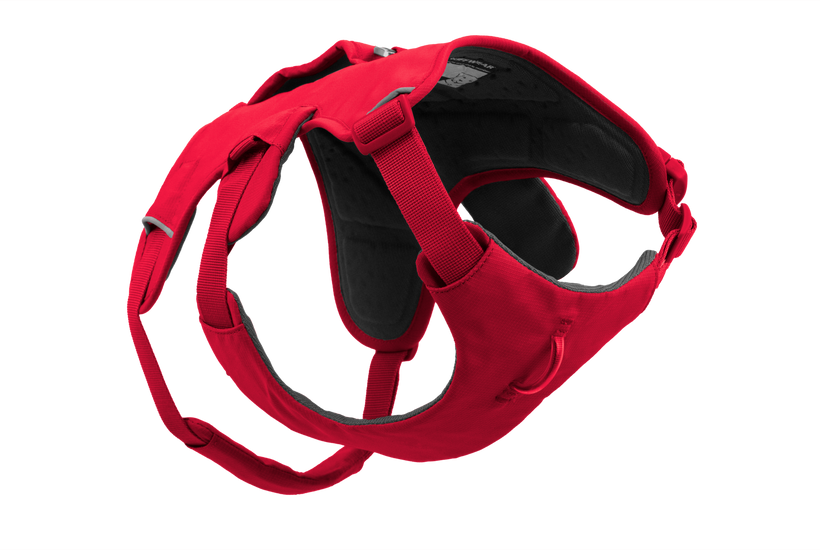 Used - Web Master™ Dog Harness with 