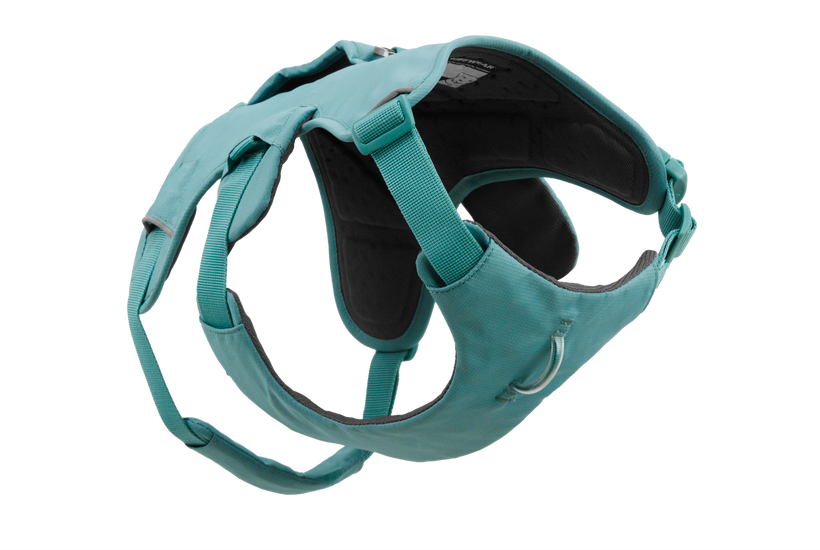 Used - Web Master™ Dog Harness with 