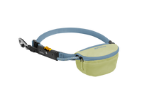 Hitch Hiker™ Leash Sunny Lime (370)