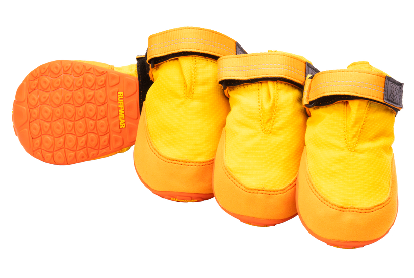 Sunrise Yellow