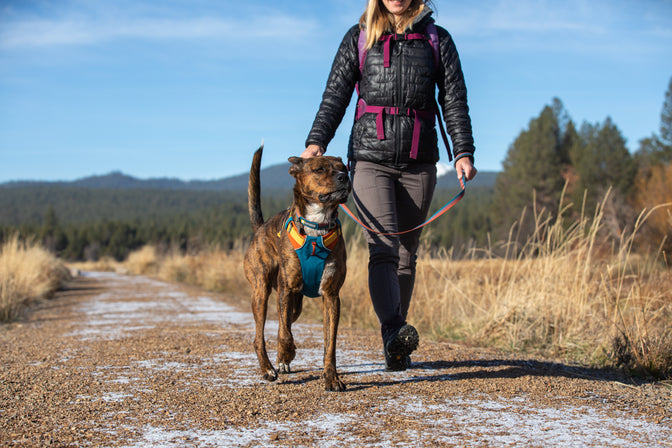 Woman walks dog in river canyon harness.