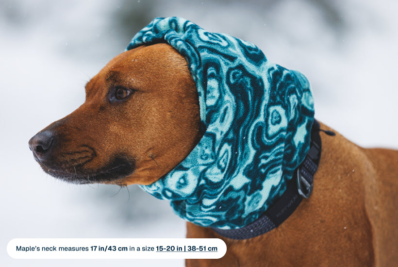 Mt. Hoodie™ Warming Neck Gaiter | Ruffwear Mt. Hoodie™ Warming Neck Gaiter | Ruffwear