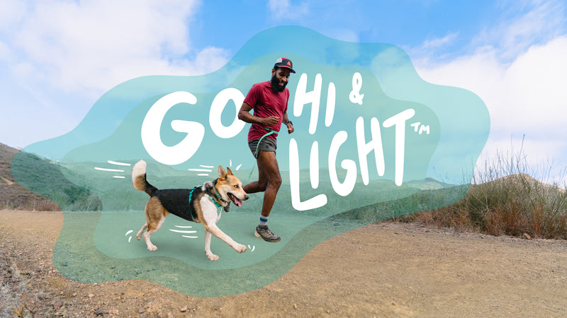 Hi & Light™ Collection