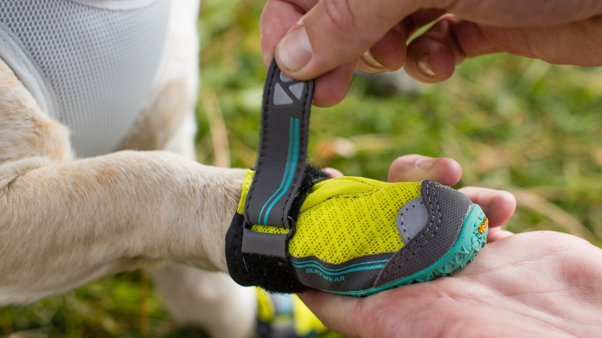 Dog boots ruffwear best sale