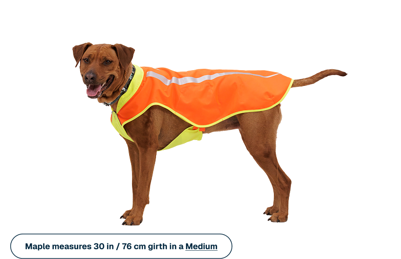 Lumenglow™ High-Vis Vest | Ruffwear