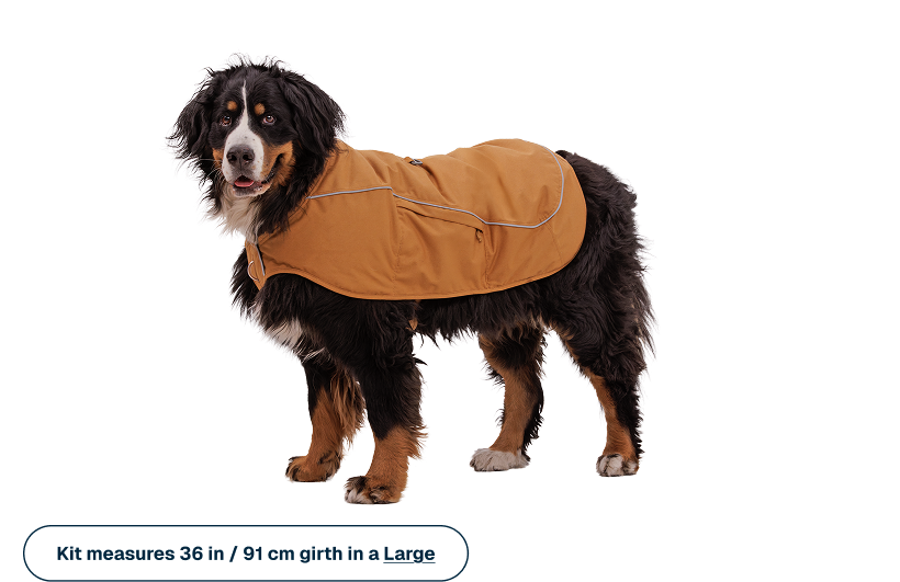 Overcoat Fuse™ Insulated Vest | Ruffwear