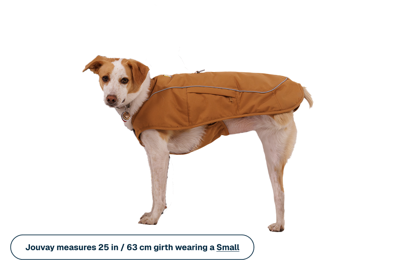 Overcoat Fuse™ Insulated Vest | Ruffwear