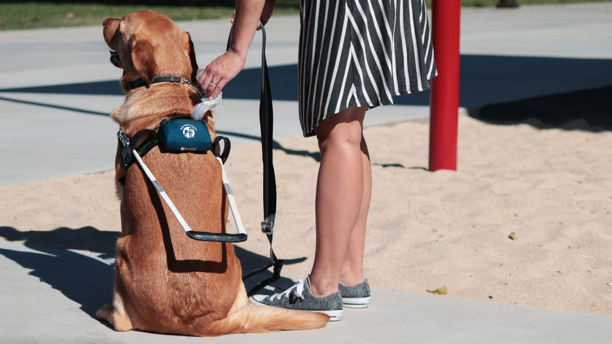 Guide Dog Pouch Zippered Harness Attaching Pouch Ruffwear