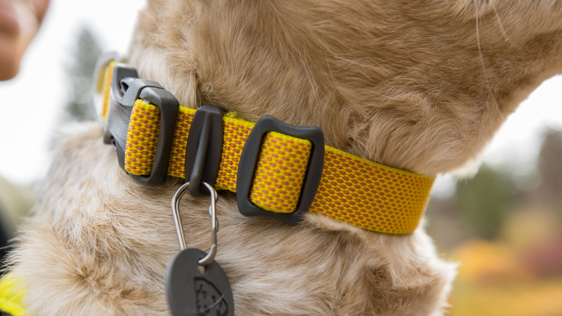 Hi Light Lightweight Dog Collar Ruffwear