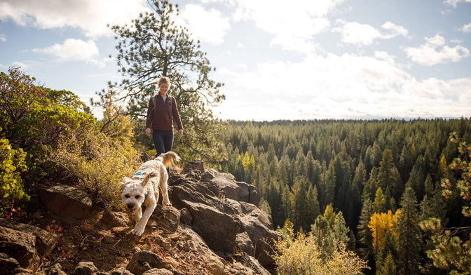 Dog hikes over rock hill top with human behind him.