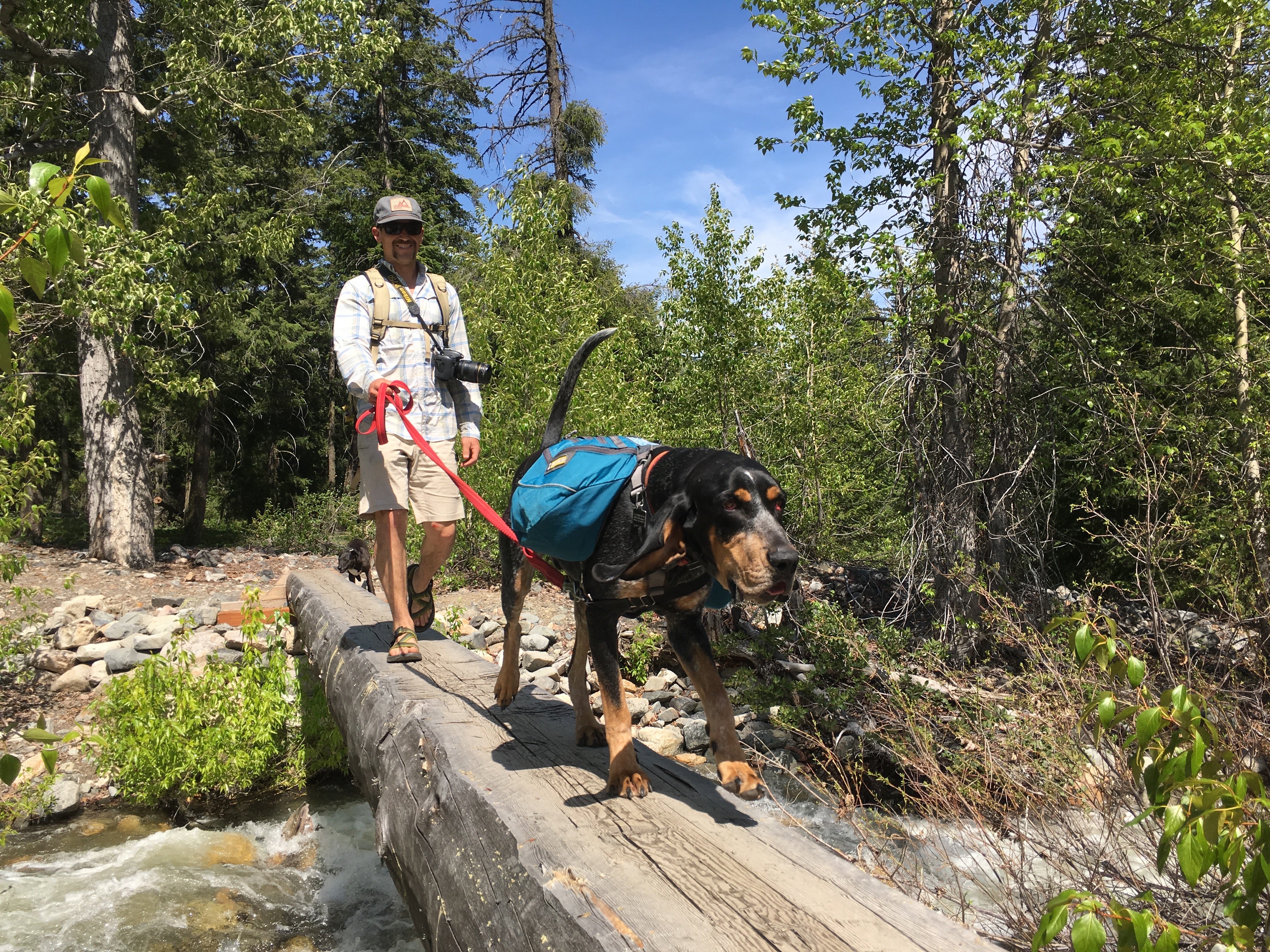 How to Pitch Your Story to Ruffwear Ruffwear