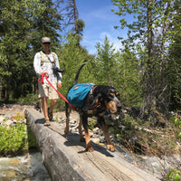 Dog and human hiking across a log bridge