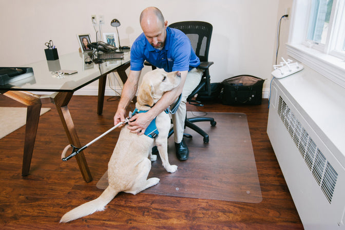 Man sits at desk and adjust the harness on the back of guide dog.