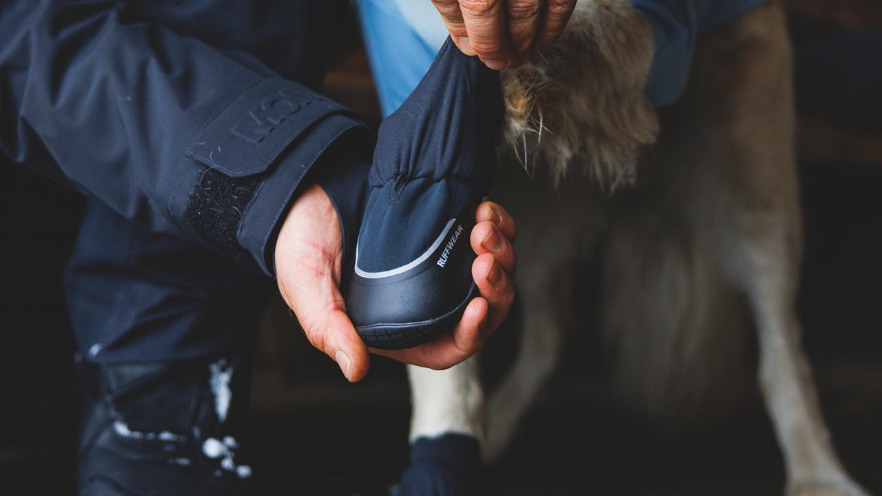 Stretch Gaiter