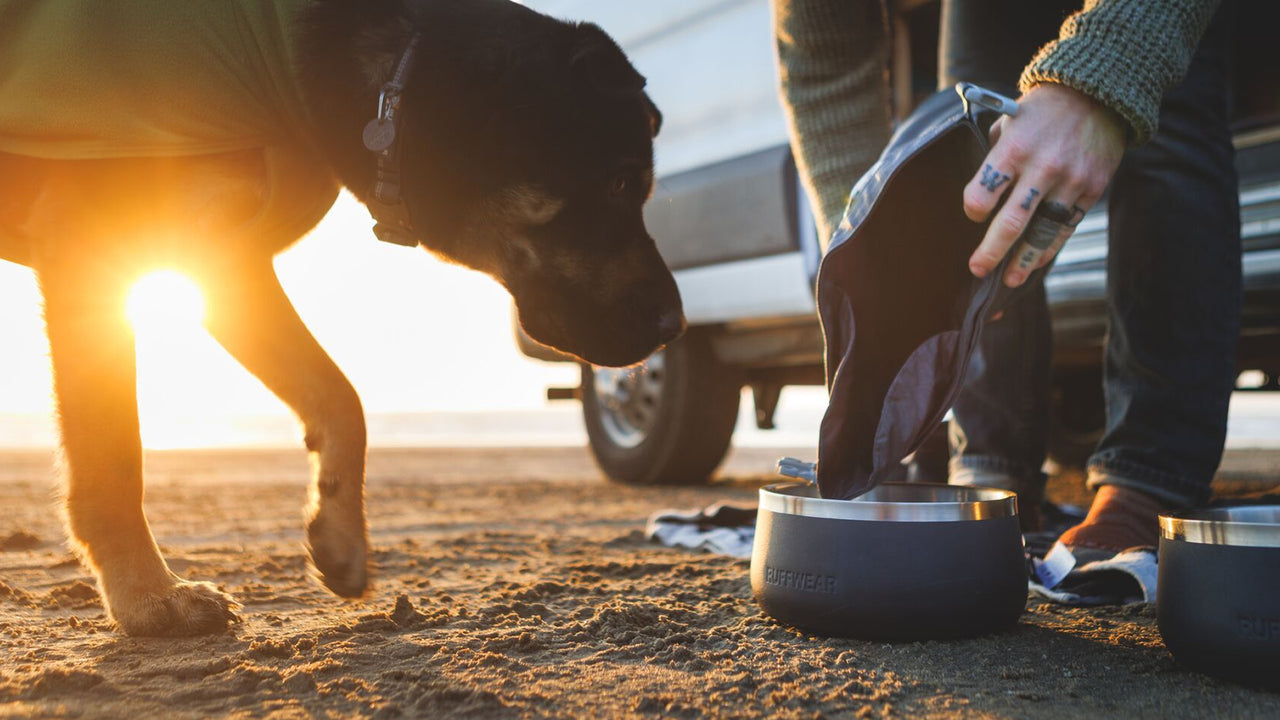Kibble Kaddie vaciado fácil - Ruffwear