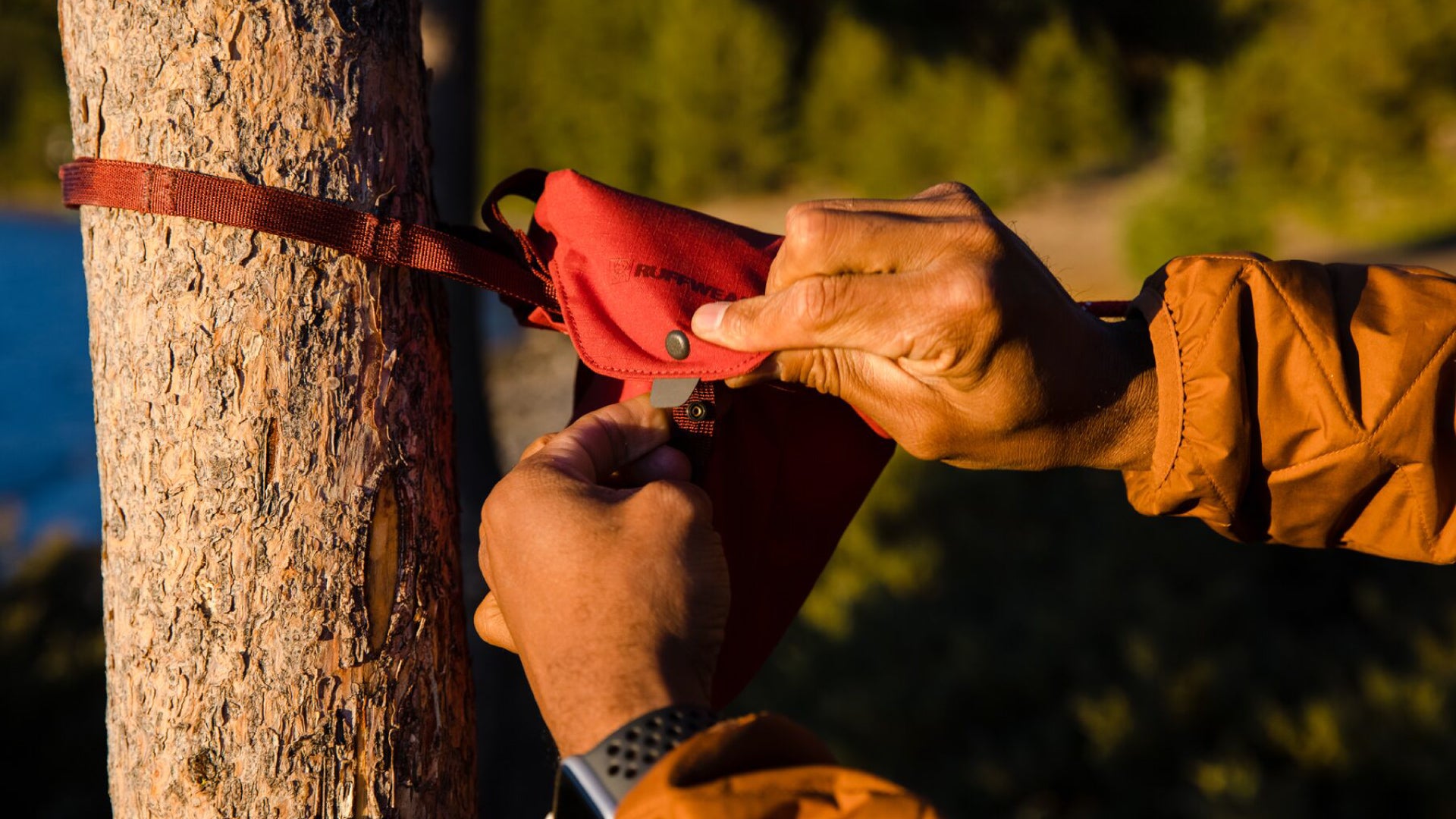 Knot a Hitch Campsite Dog Tether System Ruffwear