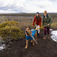 Women with dog hike up Bessie butte with dog carrying stick,