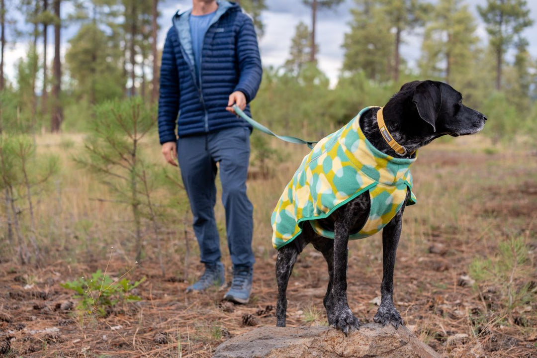 Recycled Fleece