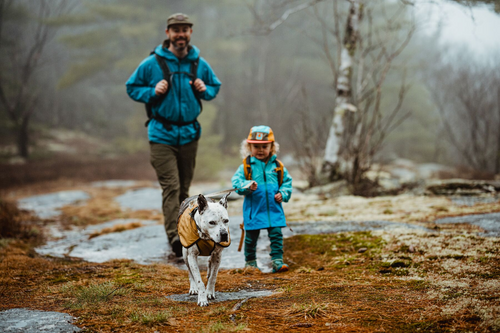 Dog winter hiking gear best sale