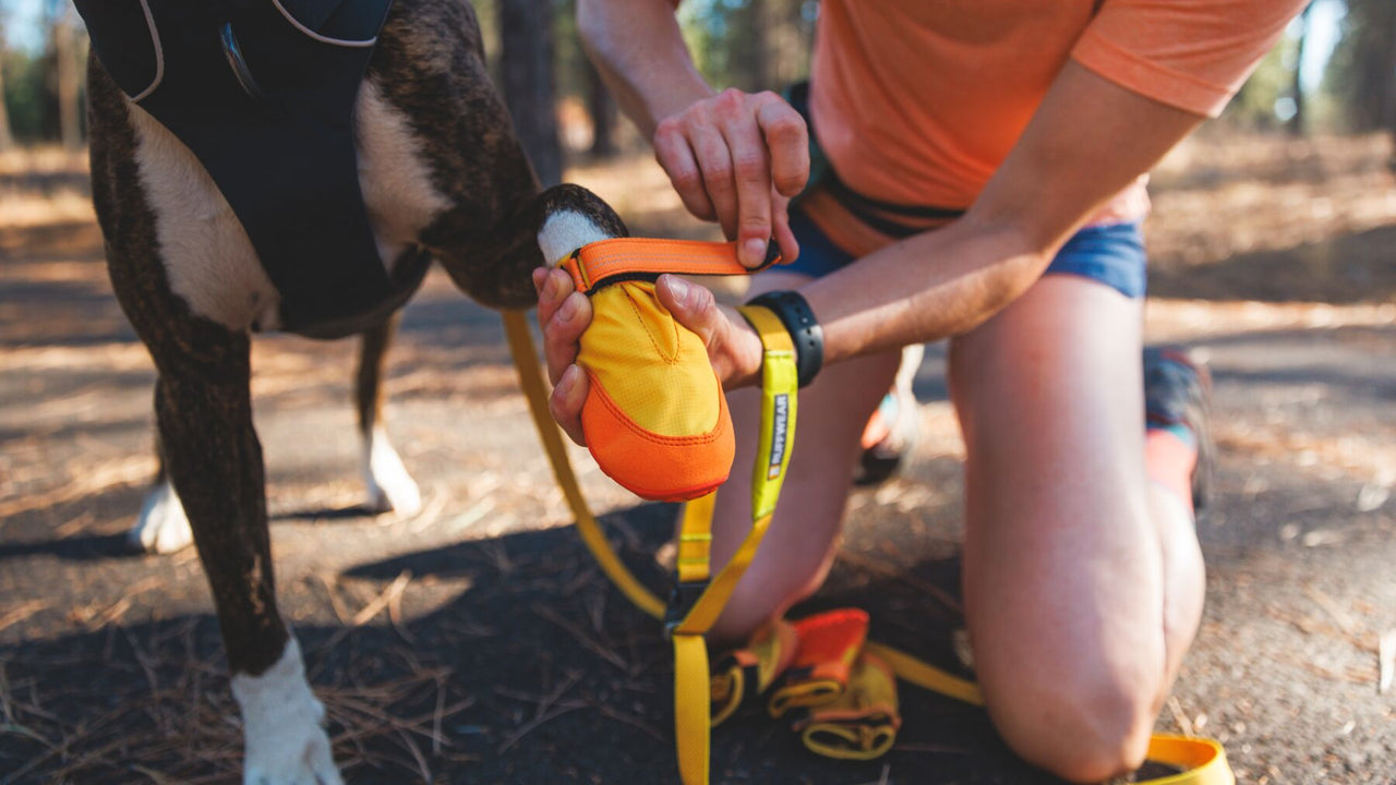 OPENS WIDE FOR EASY ON