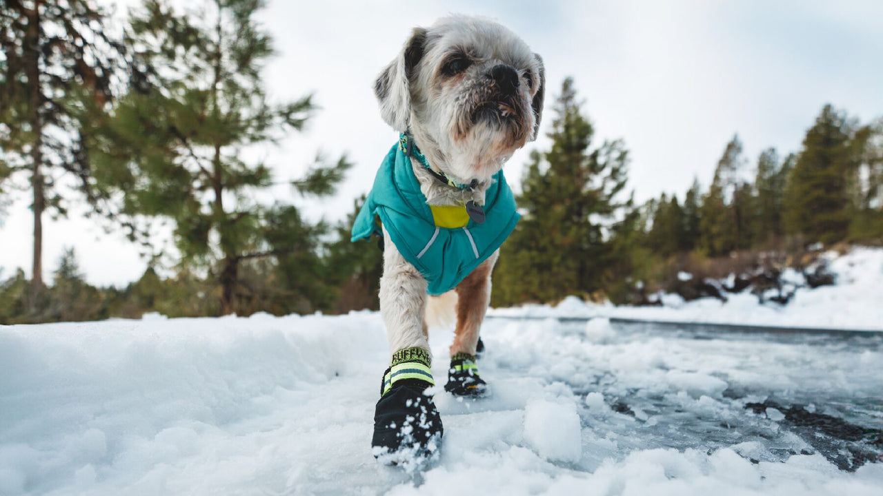 WEATHER-RESISTANT