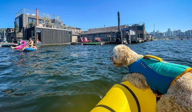 Bondi in a float coat sits on the front of a packraft floating in a lake with houseboats in the background.