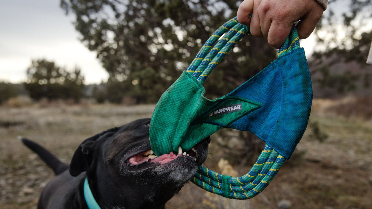 Pacific Ring™ Rope Dog Toy | Fling, Fetch & Tug | Ruffwear