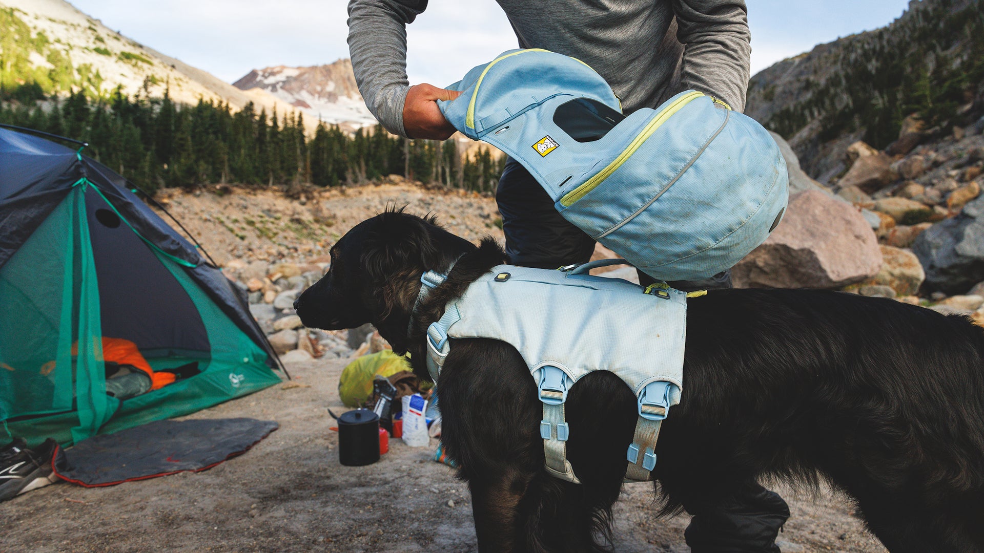 Palisades™ Pack | Ruffwear