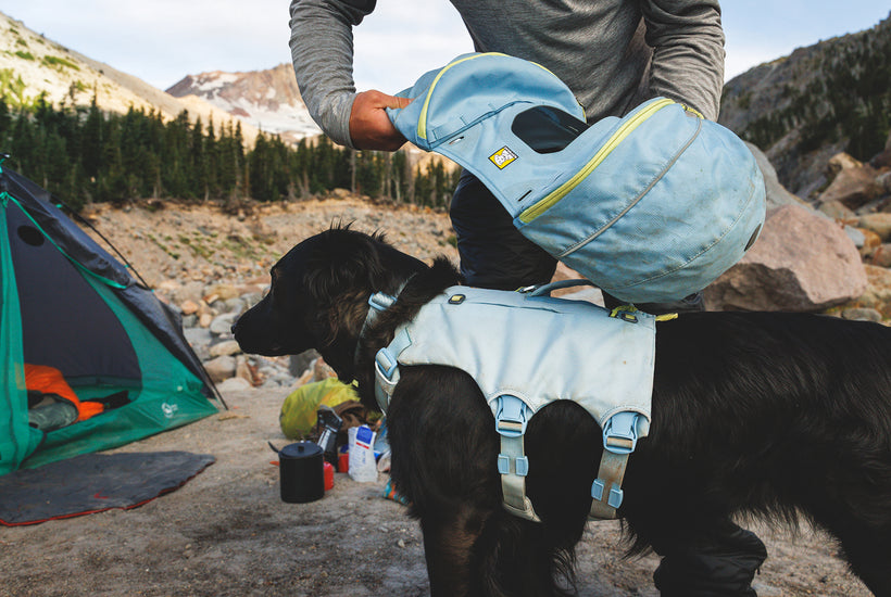 best dog backpacks for hiking Amazon Sellers: Best Combining 35+ years of dog pack experience and the aid of a local The Best Backpacks for Dogs