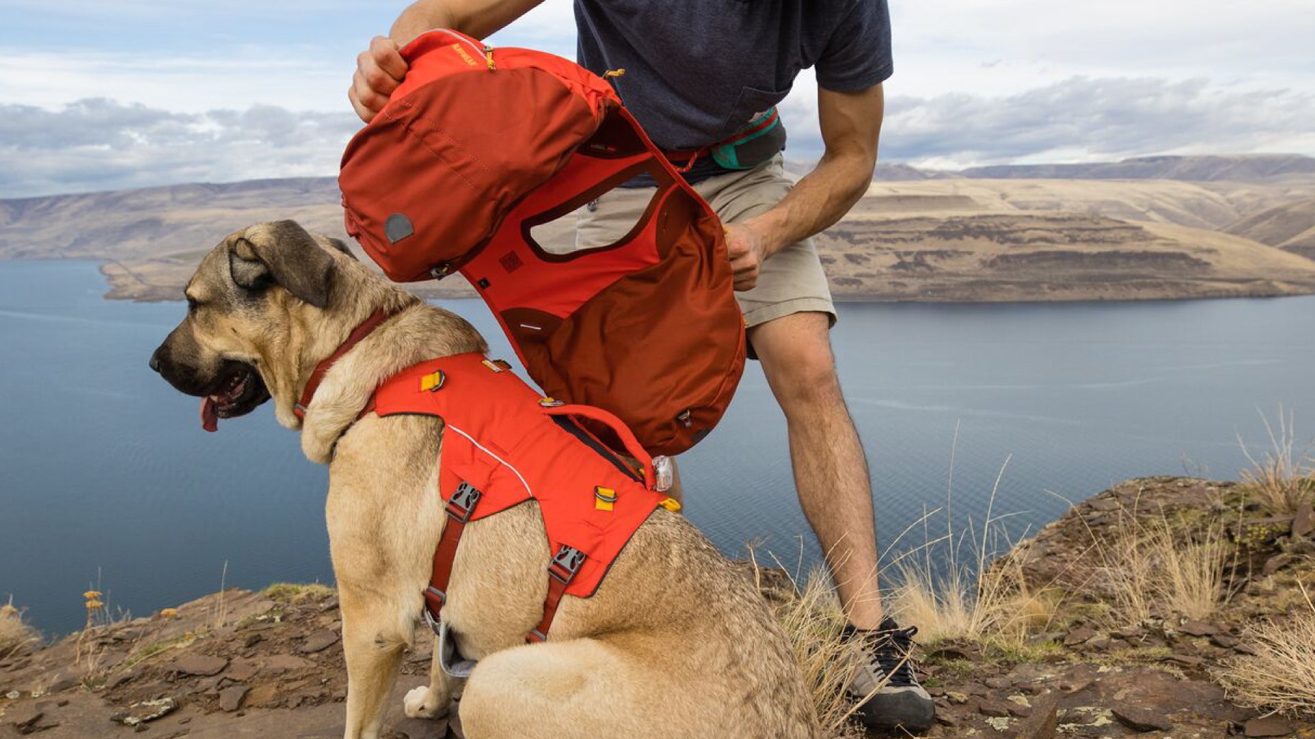 Palisades Dog Backpack Durable Multi Day Backcountry Ruffwear