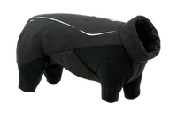 Powder Hound™ Waterproof Insulated Coverall (001)