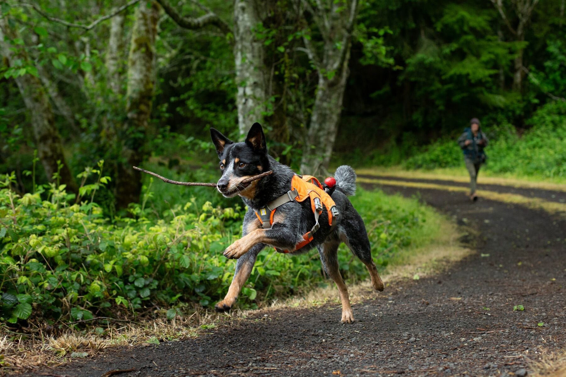 Partners Working together for a better tomorrow Ruffwear