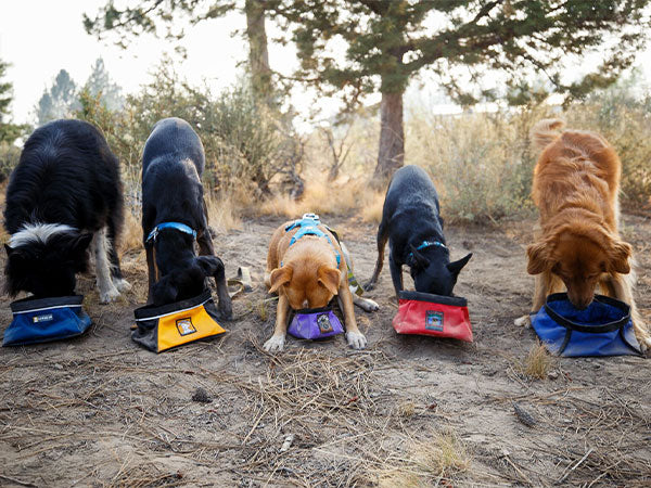 Quencher Packable Dog Bowl Ruffwear