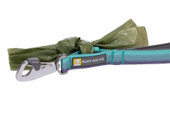 Aurora Teal
