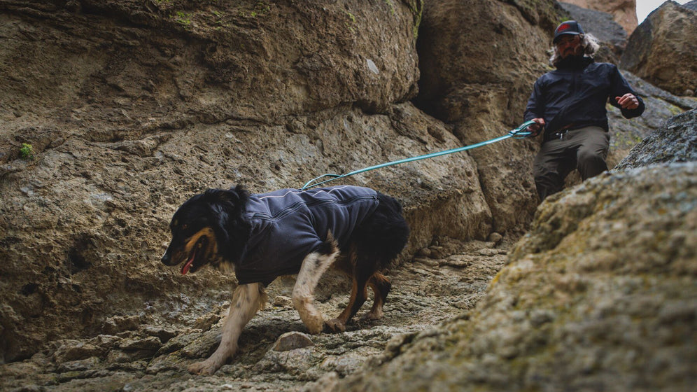 How to Use the Locking Talon Clip™ Video Thumbnail