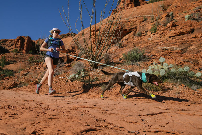 6 Tips For Breaking In Ruffwear Dog Boots