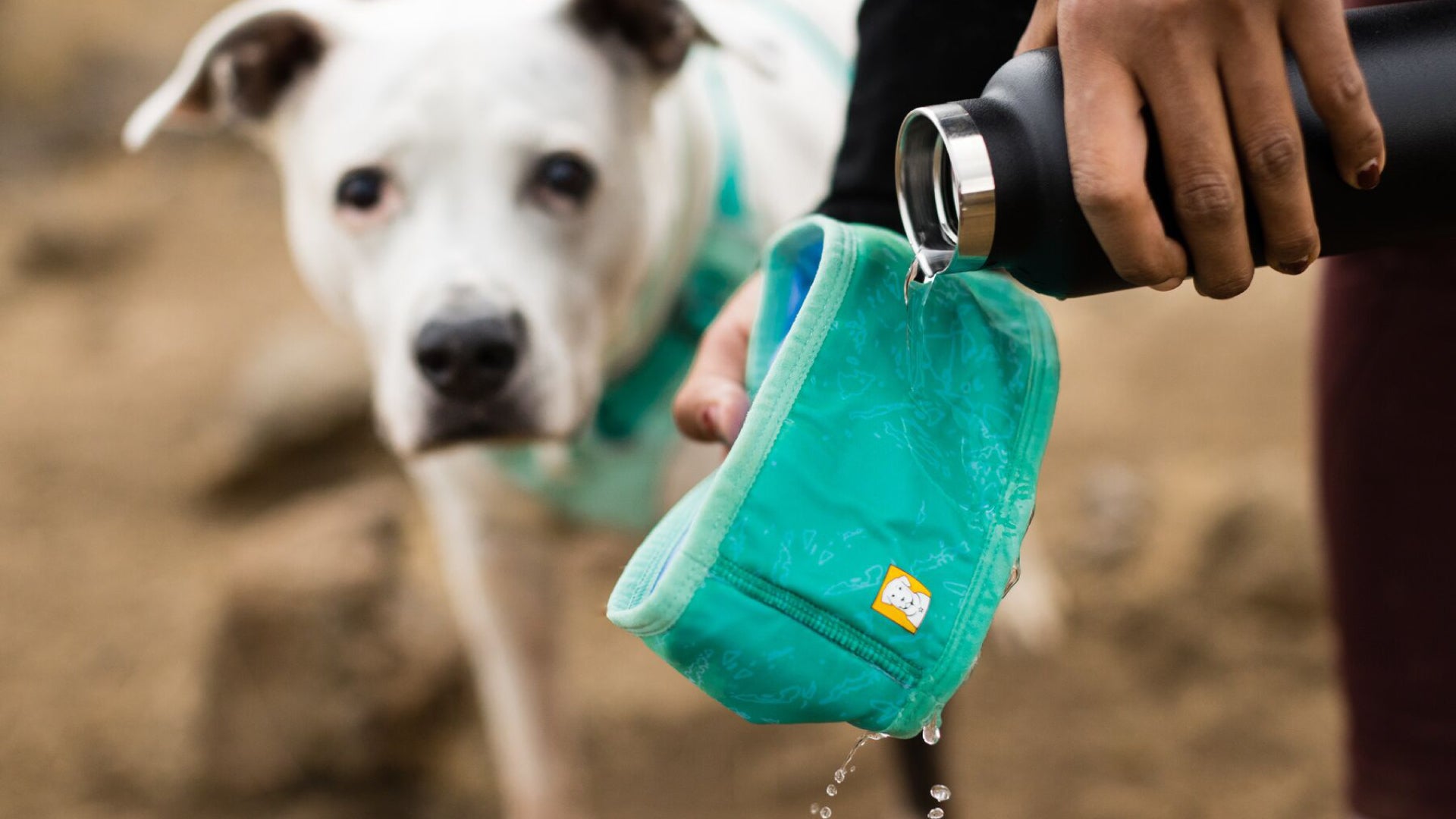 Ruffwear cooler hot sale