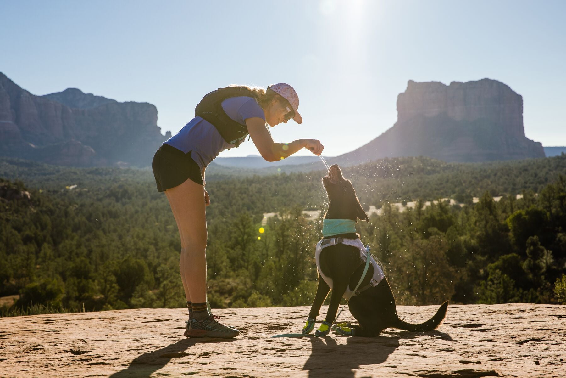 Dog best sale neck cooler