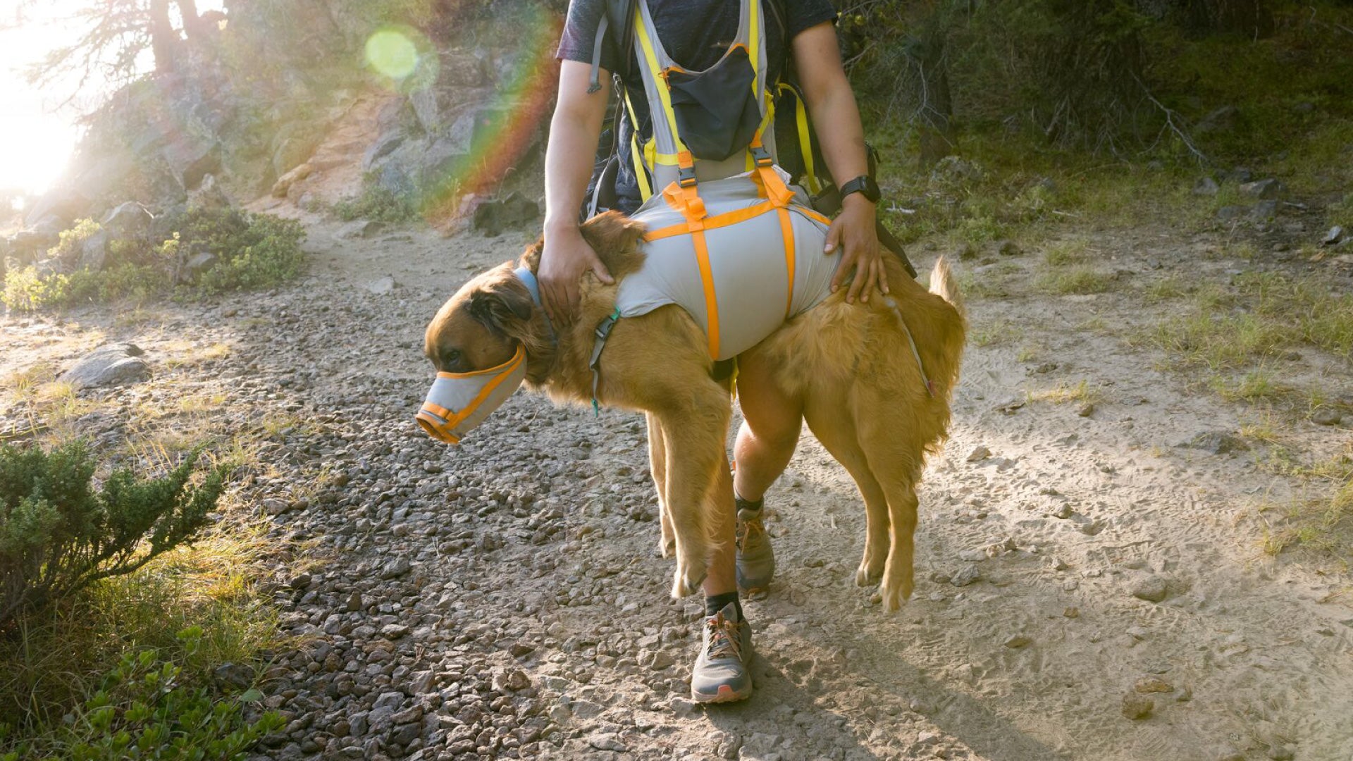 BackTrak Dog Sling Carrier Evacuation Kit Ruffwear