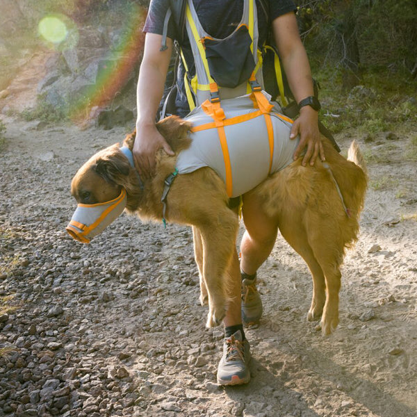 Person carries dog in an emergency sling