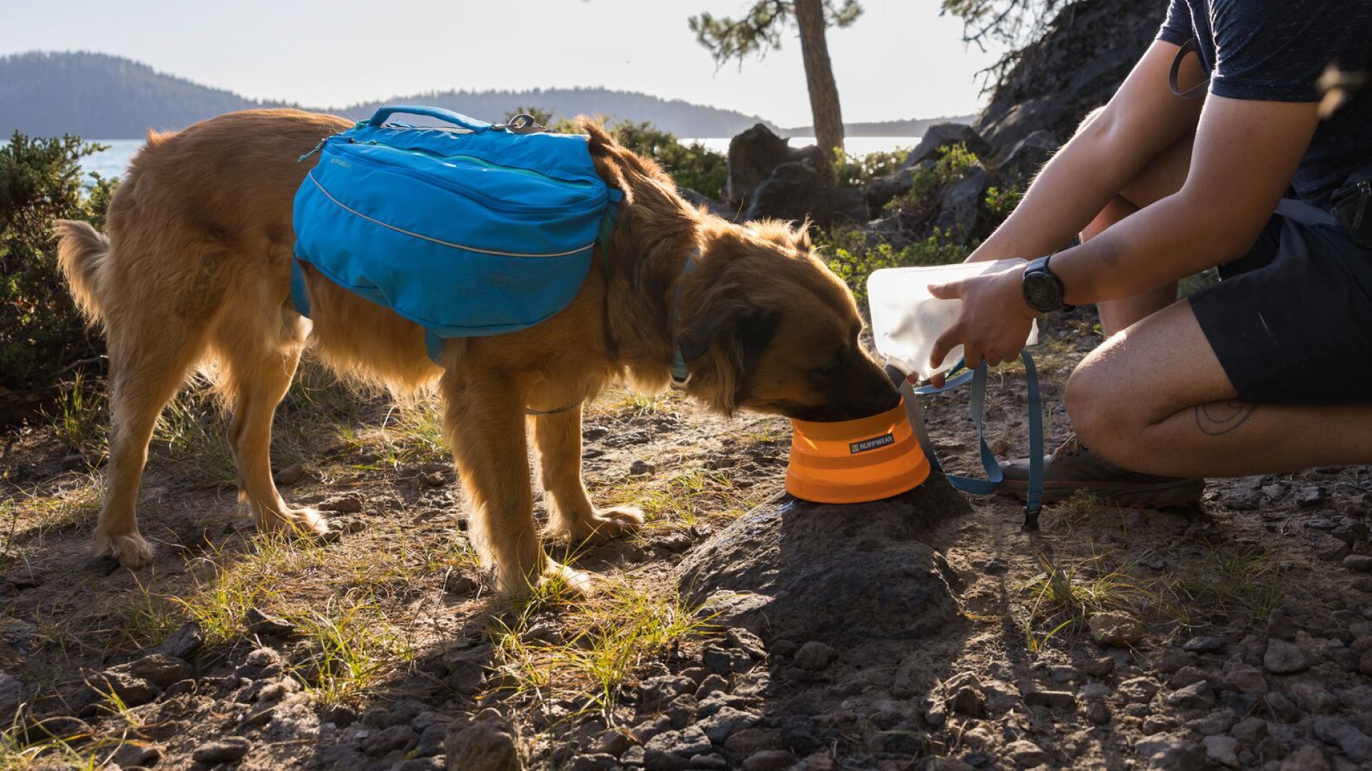 Bivy Collapsible Dog Bowl Ruffwear