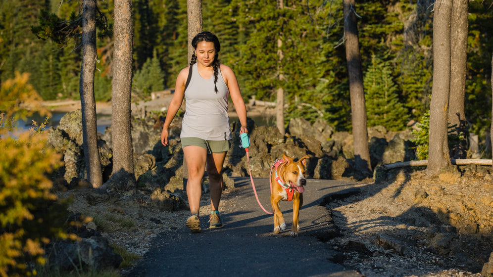 About the Stash Bag Mini™ Video Thumbnail