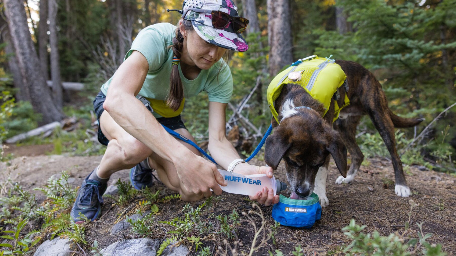 Backpacking discount dog bowl